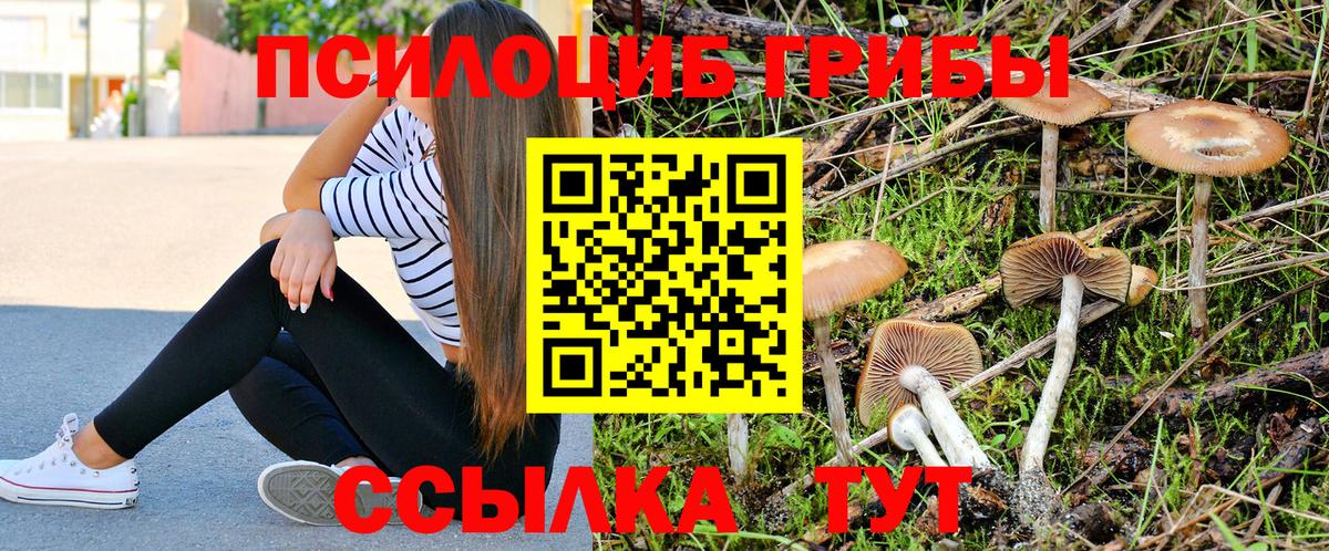 Галлюциногенные грибы Cubensis  Вход с VPN  Псилоцибиновые грибы Cubensis  что такое наркотик  Серов 