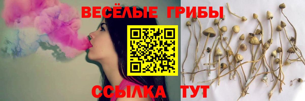 Псилоцибиновые грибы мухоморы Серов